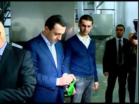 პრემიერ–მინისტრი ხობის თხილის ქარხანაში